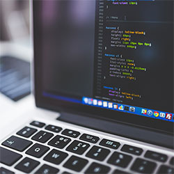 世界杯专区，云体育入口，开云app下注赢大奖